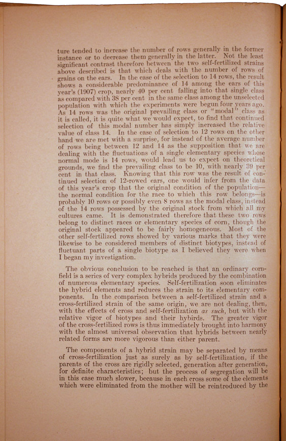 Field paper p4